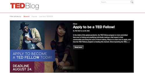 Beispiel WordPress Webseite TED Blog